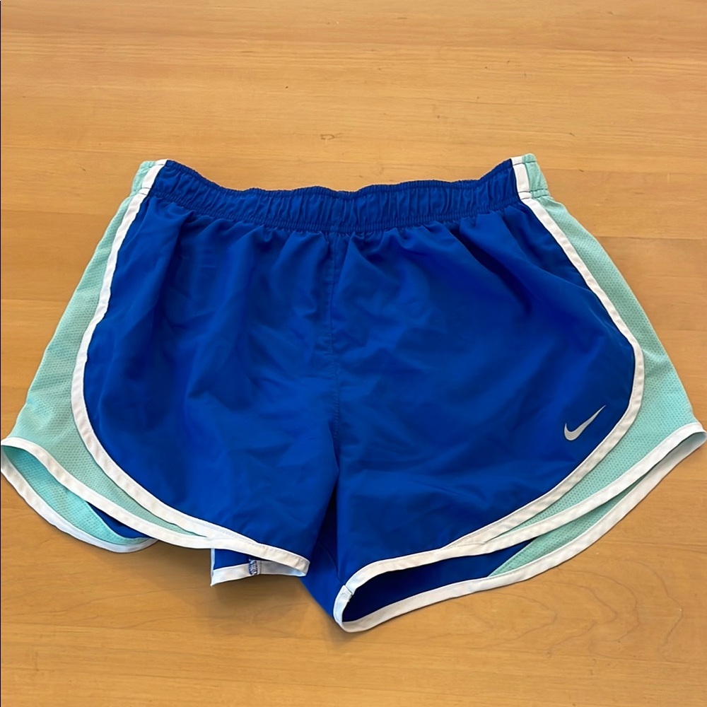 Nike Dri-Fit Blue Athletic Shorts with Signature Design